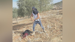 The Importance of Sleep: Tips for Better Rest and Recovery